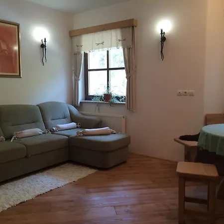 Apartments Pod Macesnovo Streho Solcava Room photo